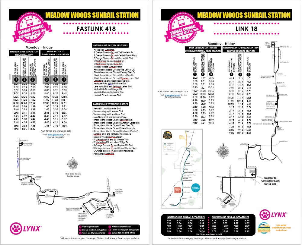 Meadow Woods SunRail Station Flyer