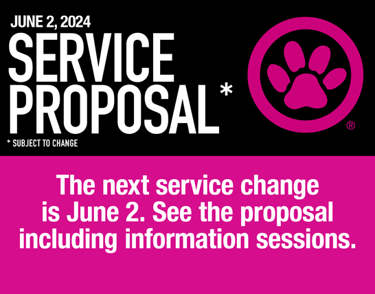 Black and pink service proposal image